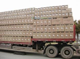 供應(yīng)東莞到桂林行李托運 桂林物流搬家搬廠 東莞到桂林貨運專線_交通運輸_世界工廠網(wǎng)中國產(chǎn)品信息庫