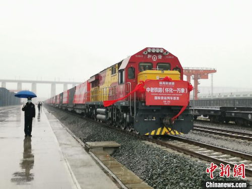 中老鐵路懷化至萬象國際貨運(yùn)列車首發(fā) 中部地區(qū)再添新通道